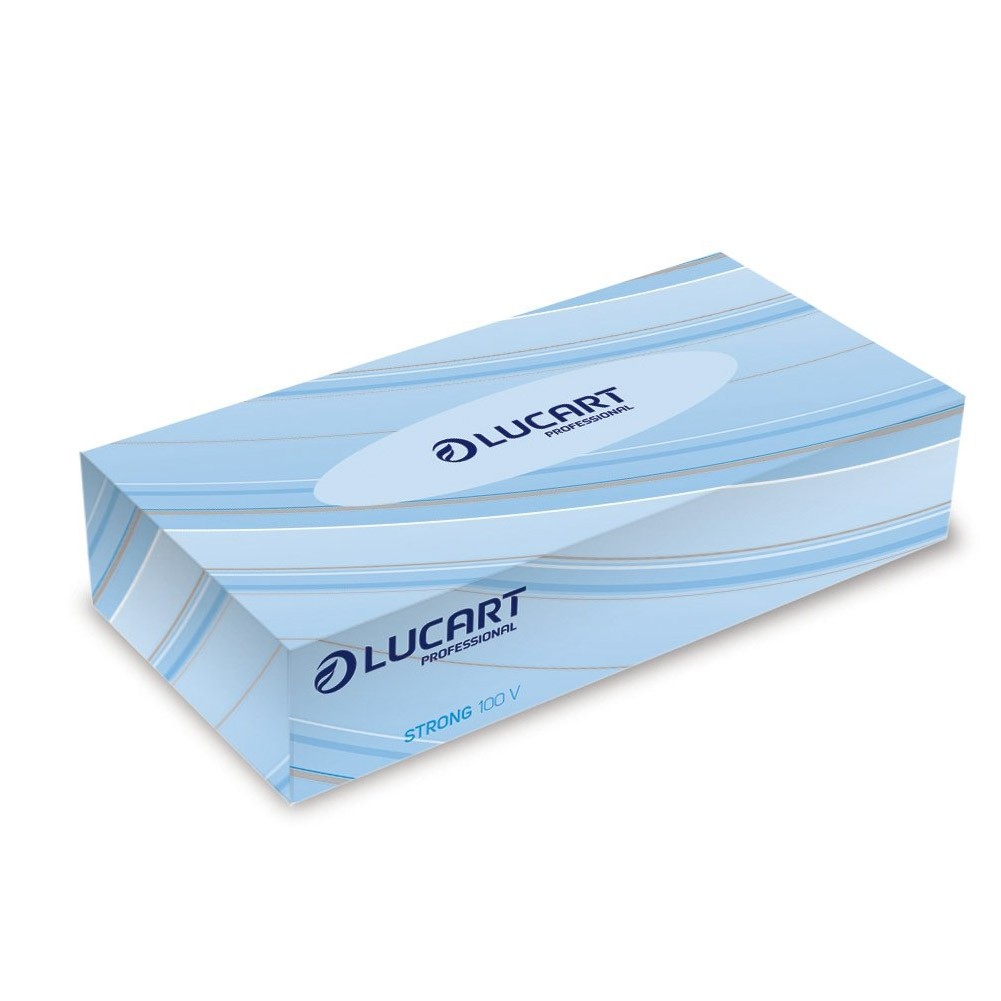Lucart fazzoletti da viso, resistenti, 100 V Confezione da 40