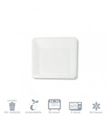 Piatto quadrato piccolo cm. 16x16 - 1000 pz.