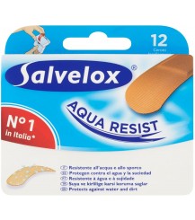 Cerotto Salvelox Medio - Confezione da 12